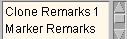 Remarks